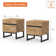 Aadam 2 Piece Modern End Table With 2 Drawers