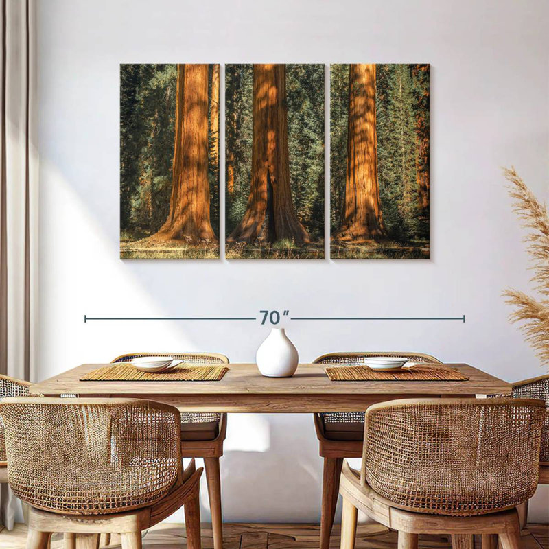 Arbres anciens du parc Harnek Sequoia, H 36 po x l 57 po