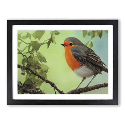 Magnetic Robin Bird - Framed Print