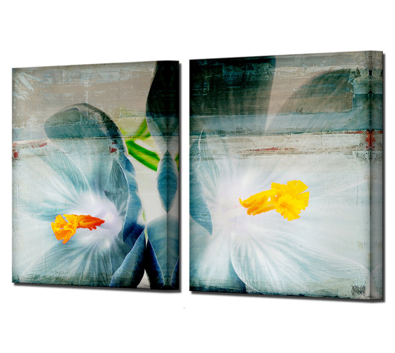 «Painted Petals XX» par Tristan Scott - ensemble de 2 reproductions d'art graphique sur toile tendue