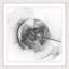 Single Picture Frame Print-1779757621