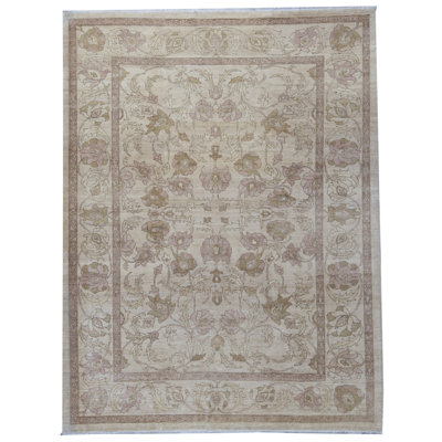 Hand-Knotted High-Quality Beige Area Rug