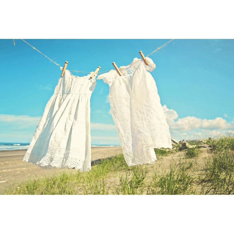 Sylvia Cook - Wrapped Canvas Print, 61cm H x 91cm W x 3.81cm D