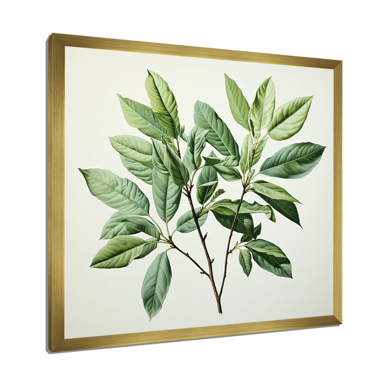 Menthe fraîche, minimalisme, feuilles, sérénité I, H 30 po x l 30 po x P 1 po, Cadre doré simple