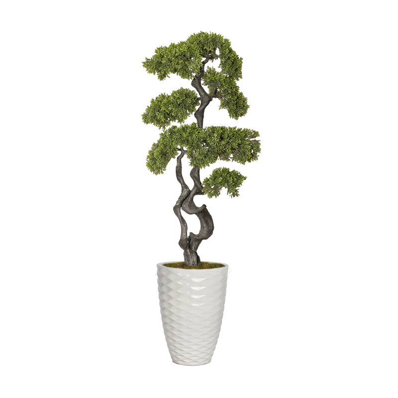 59.9'' Faux Bonsai Tree in Planter