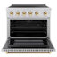 ZLINE Autograph 36 in. Paramount Induction Range with 5 Element Cooktop & Champagne Bronze Accents-90983660