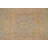 Traditional Area Rug 7x10