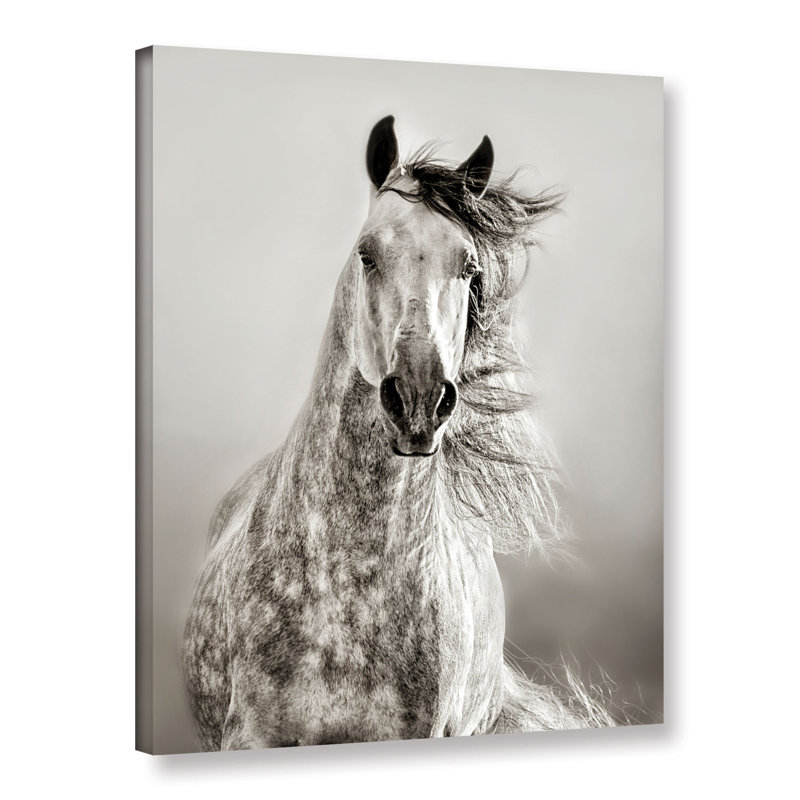 Caballo de andaluz, reproduction de photo sur toile tendue, H 8 po x l 10 po x P 2 po