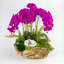 Orchid Faux Floral Arrangement in Planter-46128080