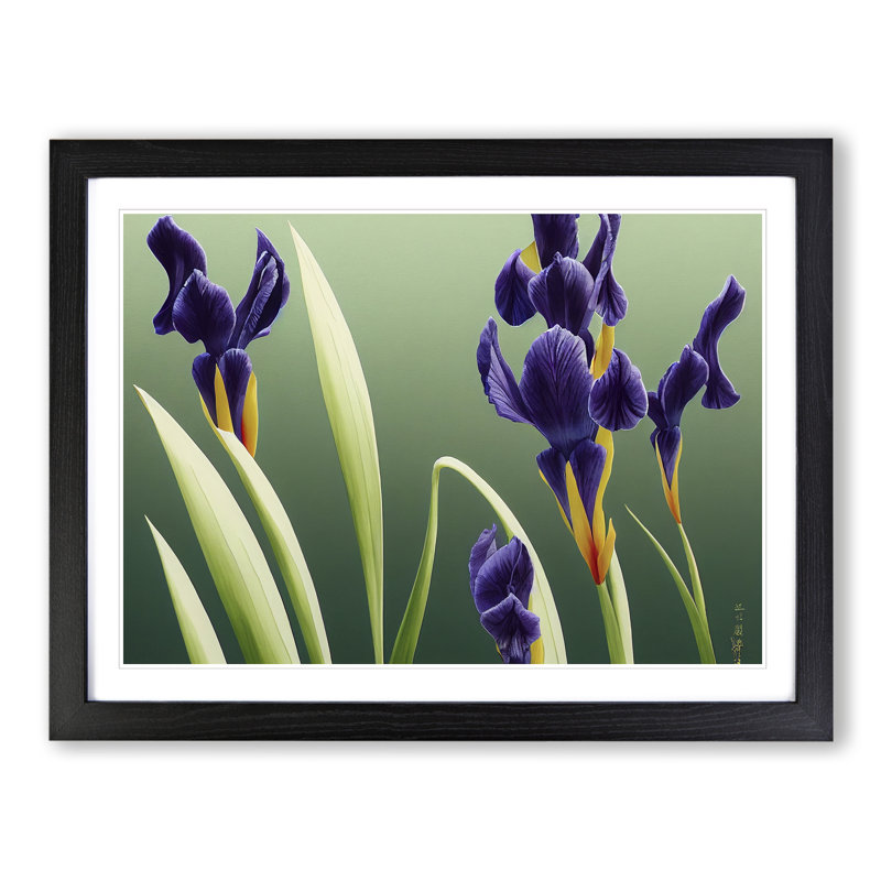 Shimmering Iris Flowers - Framed Print, 34cm H x 46cm W x 2cm D, Black