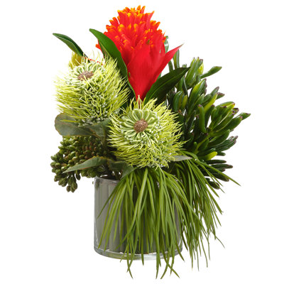 12"Hx10"Wx11"L Bromeliad/ Succulent/Grass On Glass Vase