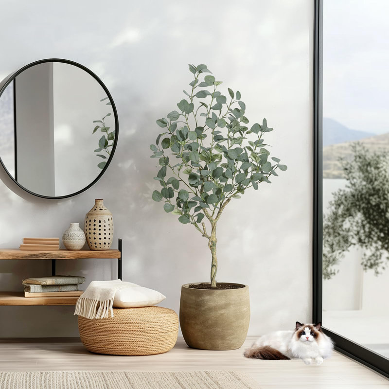 Plant, 121.92cm H x 66cm W x 15.75cm D
