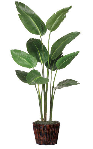 Faux Elephant Ear Tree in Basket