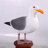 Seagull on Post Life Size Statue