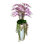 5.25' Orchid Arrangement with Weeping Laurel in Fiberstone Planter