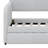 Upholstered Velvet Daybed with Trundle Bed-2049649758