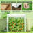 Outdoor Mini Greenhouse,Modern Greenhouse