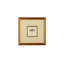 Miniature Dragonfly II Print