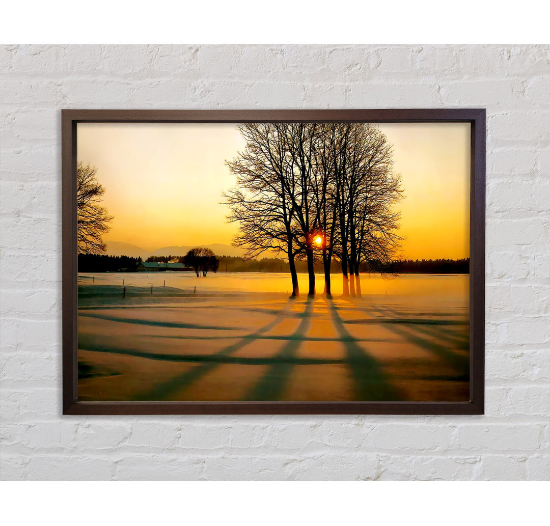 Gerahmtes Leinwandbild Winter Tree Sunrise Golden