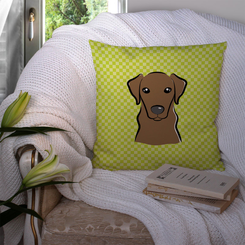 Outdoor Reversible Throw Pillow, 18" H x 18" W x 5.5" D, Green