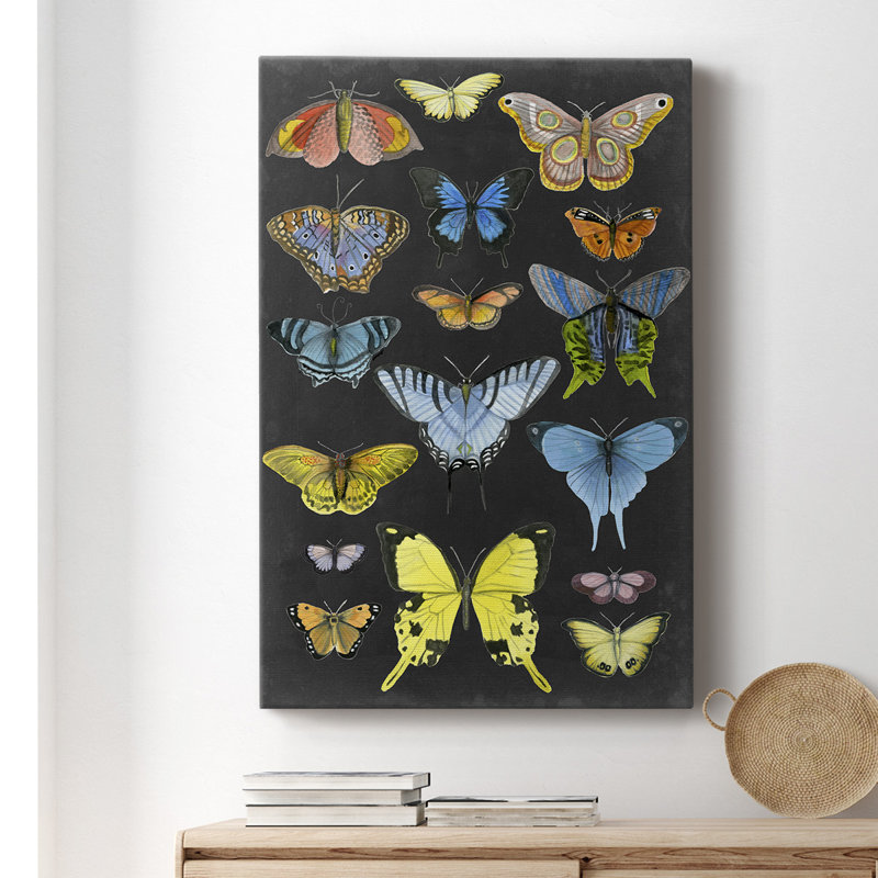 «Butterfly Taxonomie I», impression sur toile tendue, H 36 po x l 24 po x P 1,5 po