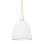 Copake 1 Light Pendant