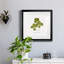 «Pressed Clover II», reproduction encadrée de qualité supérieure - prête à être accrochée-666560572-666560573