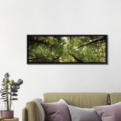 Low Angle View of Trees, Bavaria, Germany #2 by Panoramic Images - Wrapped Canvas Print