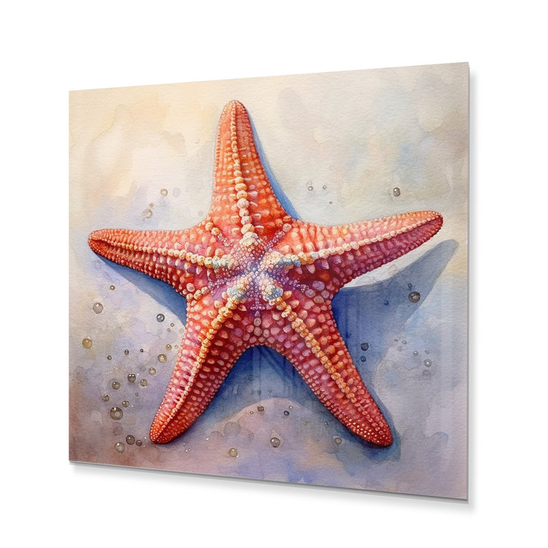 Étoile de mer Spinny III, H 16 po x l 16 po x P 1 po