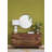 30" X 32" Round Gold Mirror-579192012-579192019