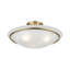 Wilbrecht Glass Semi Flush Mount-63680808-16518547