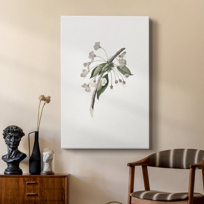Imprimé floral rétro CCV III - galerie Cavas sur mesure