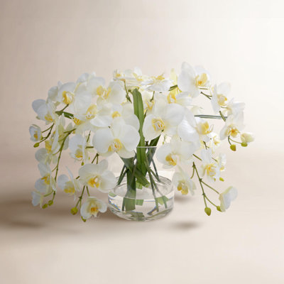 Orchid Floral Arrangement