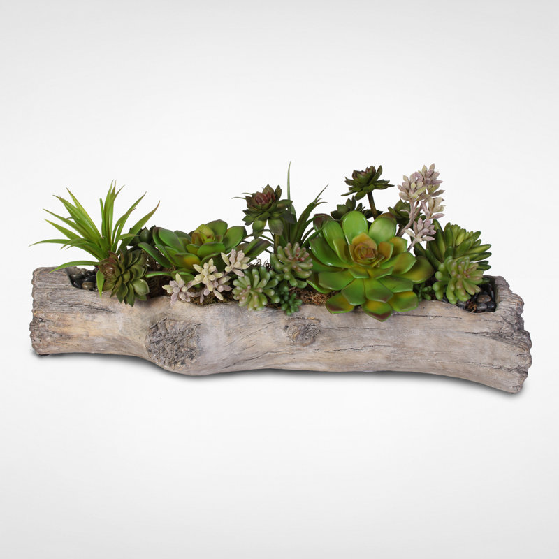 Faux Succulent Plant in Cement Pot