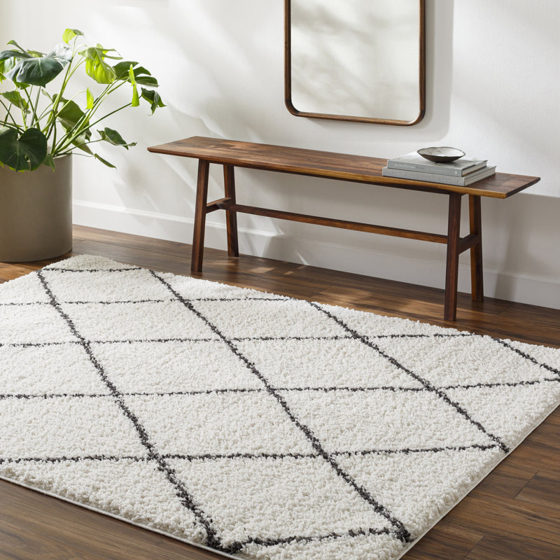 Cassundra Rectangle Geometric Machine Woven Polyester Area Rug in Charcoal/White, Rectangle 5'3" x 7'