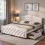 Aguadilla Upholstered Double (4'6) Faux Leather Drawers Bed