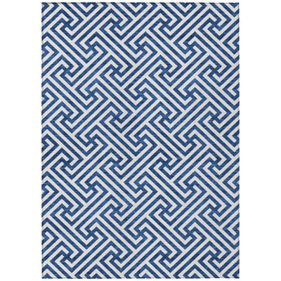 Washable Indoor / Outdoor Rug