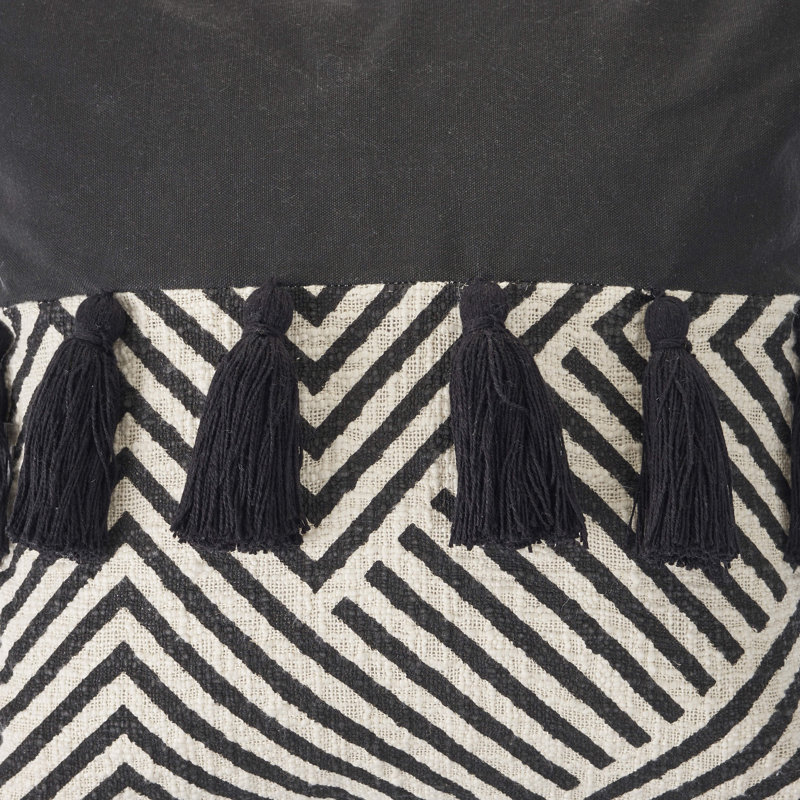 Ensemble de 2 coussins en coton Tassels