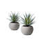 Ensemble de pots Evergreen-828507521