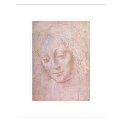 Head of a woman (metal point heightened with gouache) by Leonardo da Vinci - Framed Giclee Print