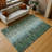 Machine Washable Indoor/Outdoor Hashlamoun ACN2318 Casual Rug-776264575