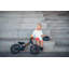 Rosenbloom Isabelle & Max Push/Pull Ride On-31939231