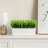 Fake Grass Plants In Cement Window Box