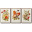 Antique Floral Bouquet I, ensemble de 3 toiles encadrées-97759422-97759425