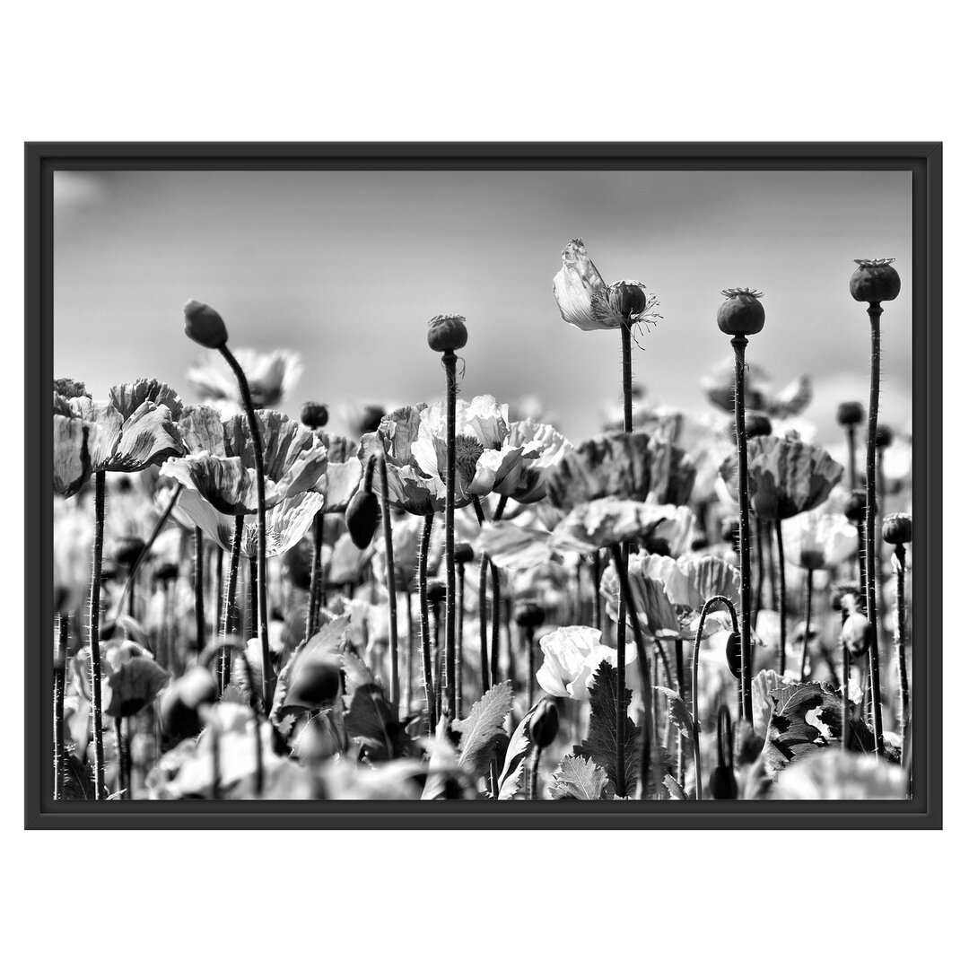 Gerahmtes Wandbild Blumenwiese Mohnblumen