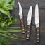 Hampton Forge Skandia Harley - 14 Piece Knife Block Set, Full Tang, Triple Rivets, Forged, German Quality