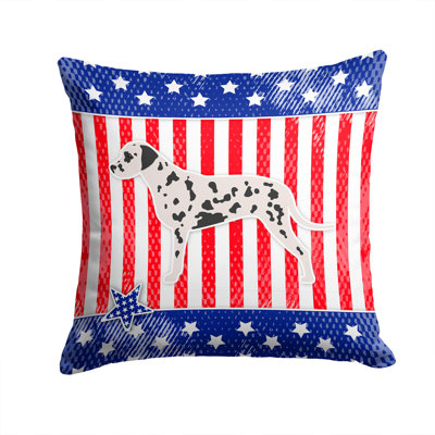 Coussin intérieur/extérieur Patriotic