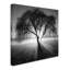 « lightning tree i », reproduction de photo sur toile tendue-31354899