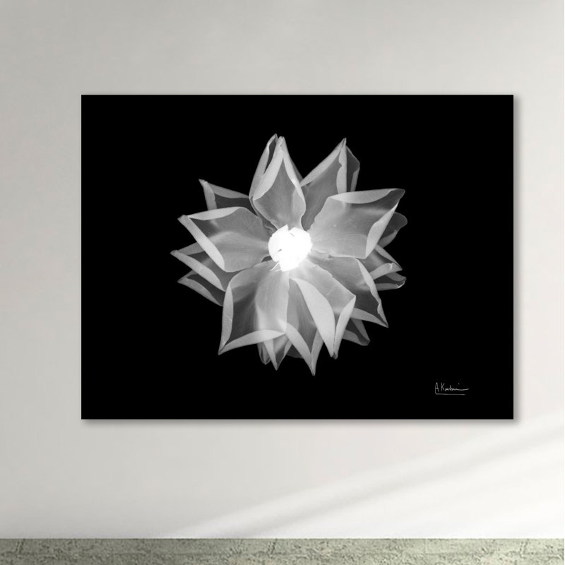 "Rose", toile tendue par Albert Koetsier, H 12 po x l 16 po x P 1,5 po