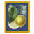 Jaune tournesol
